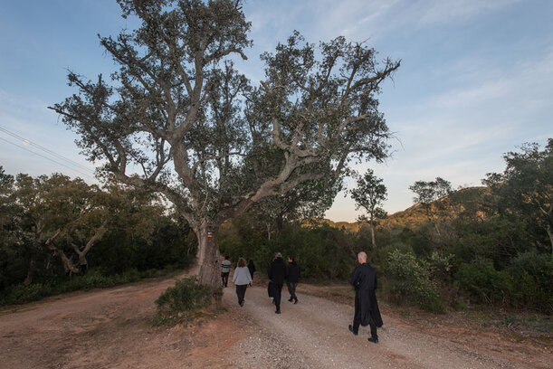 Grupo em retiro zen num espaço de meditação sereno